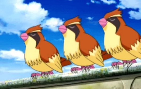 evolucion-de-pidgey-musica
